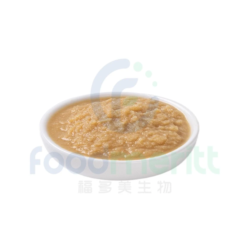 Fresh Ginger Paste manufacturers